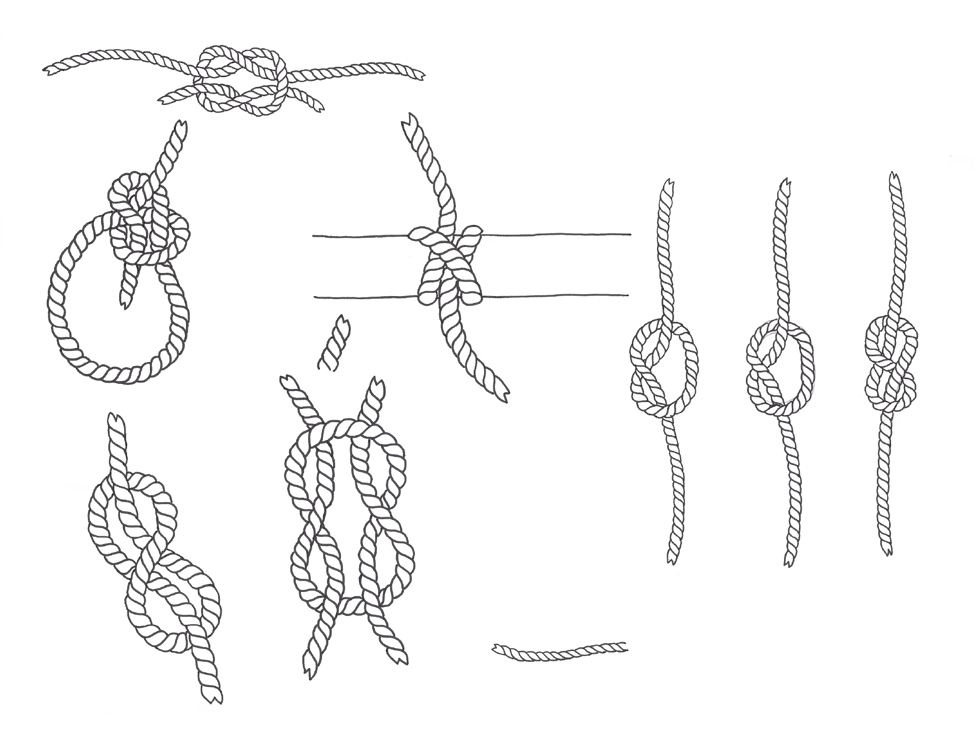 Knots sketch