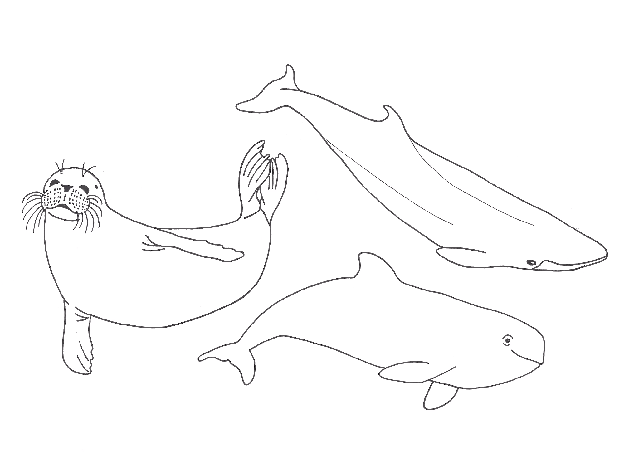 Sea life sketch